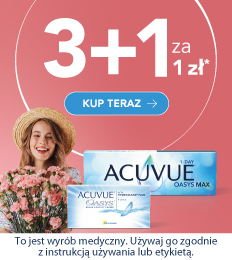 3+1
