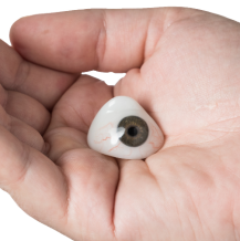 Proteza oka - czy istnieje i kiedy się stosuje?